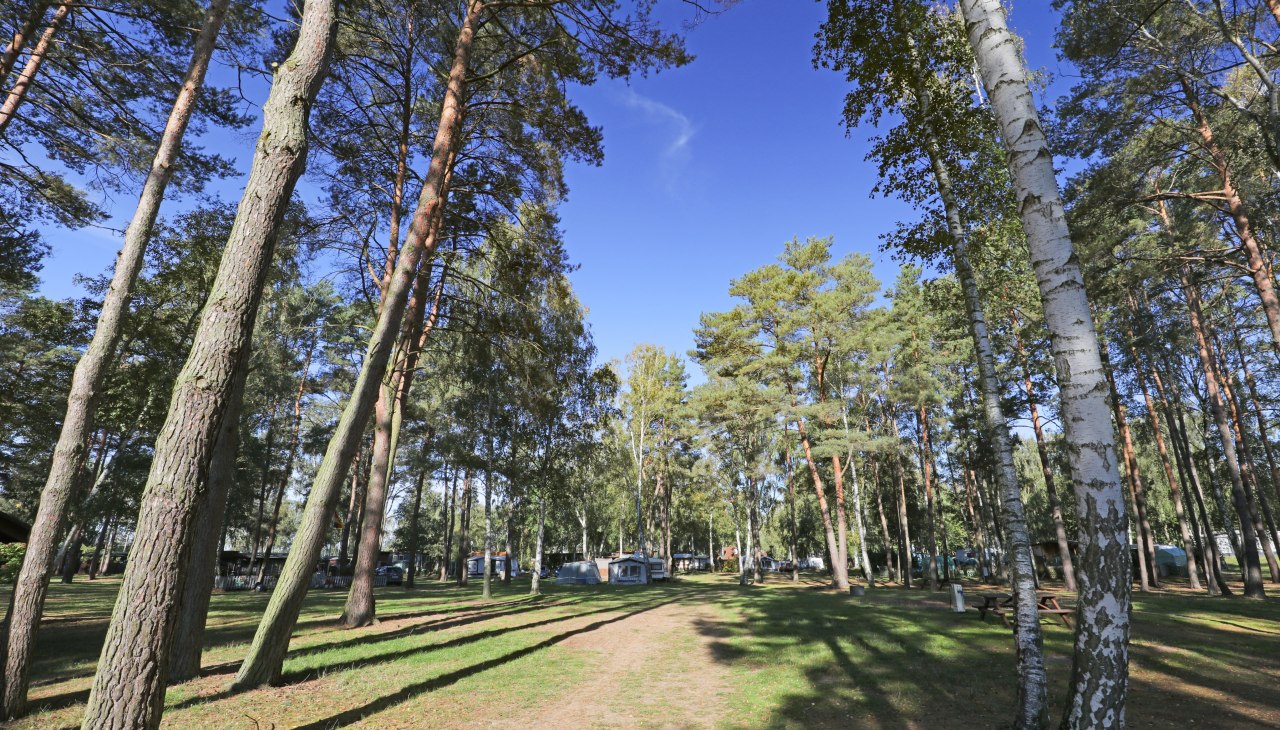 Waldst&uuml;ck, &copy; TMV/Gohlke