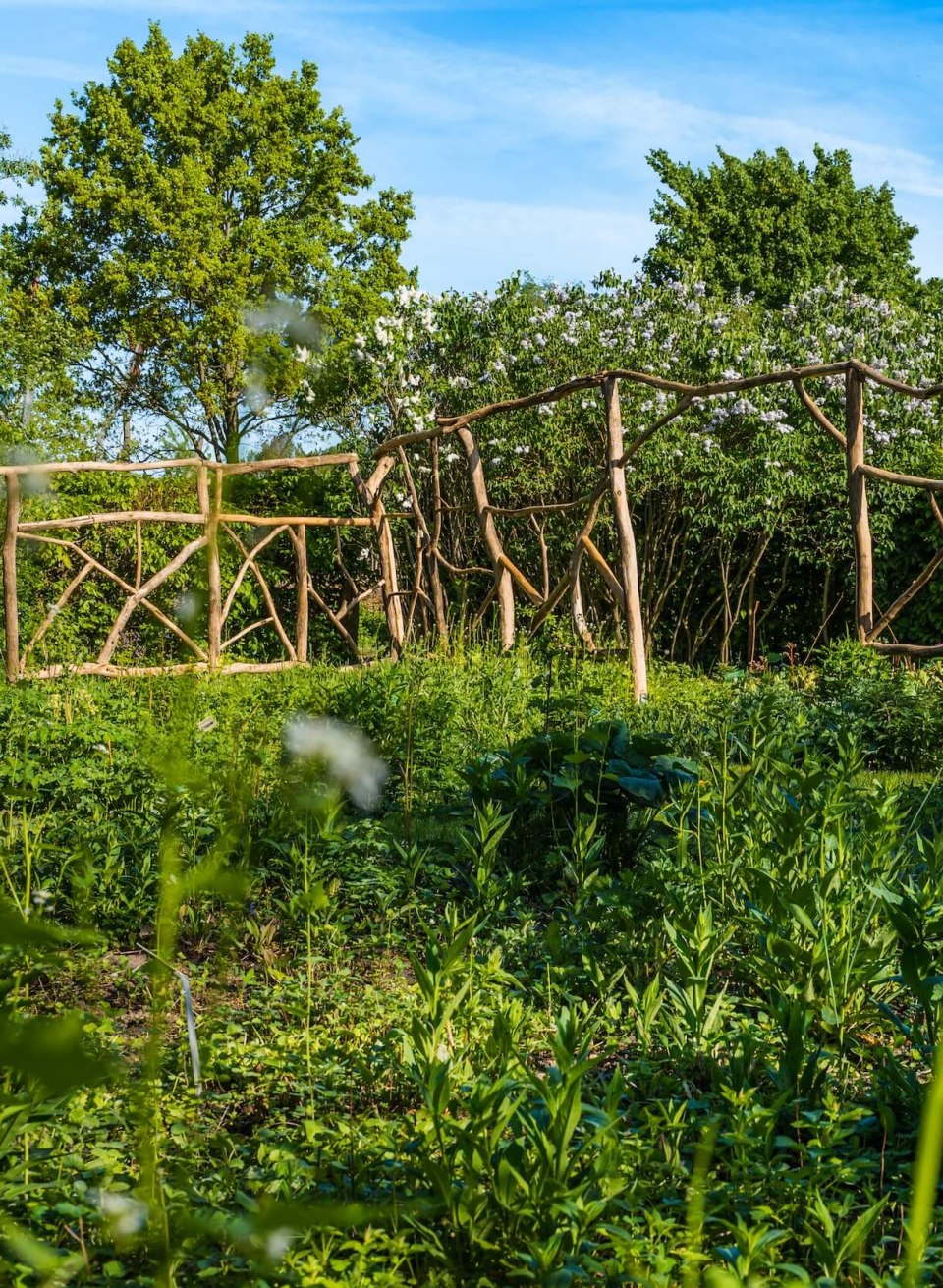 Der Wangeliner Garten mit Kunstinstallationen - Holz aufgebaut als Raumtrenner wie Fachwerk über den Pflanzen. // Wer aufmerksam ist, kann im Wangeliner Garten ganz schön viel entdecken: Kunstinstallationen, heimische Blütenpflanzen und Insektenhotels zum Beispiel. // © MV-T/Tiemann Der Wangeliner Garten mit Kunstinstallationen - Holz aufgebaut als Raumtrenner wie Fachwerk über den Pflanzen.