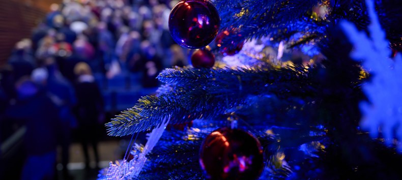 &copy; Mirco Dalchow