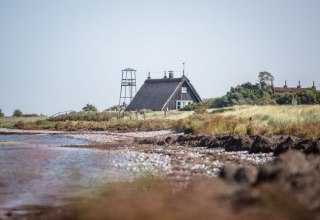 Vogelschutzinsel Langenwerder bei Poel, &copy; Liene Photografie Nadine Sorgenfried