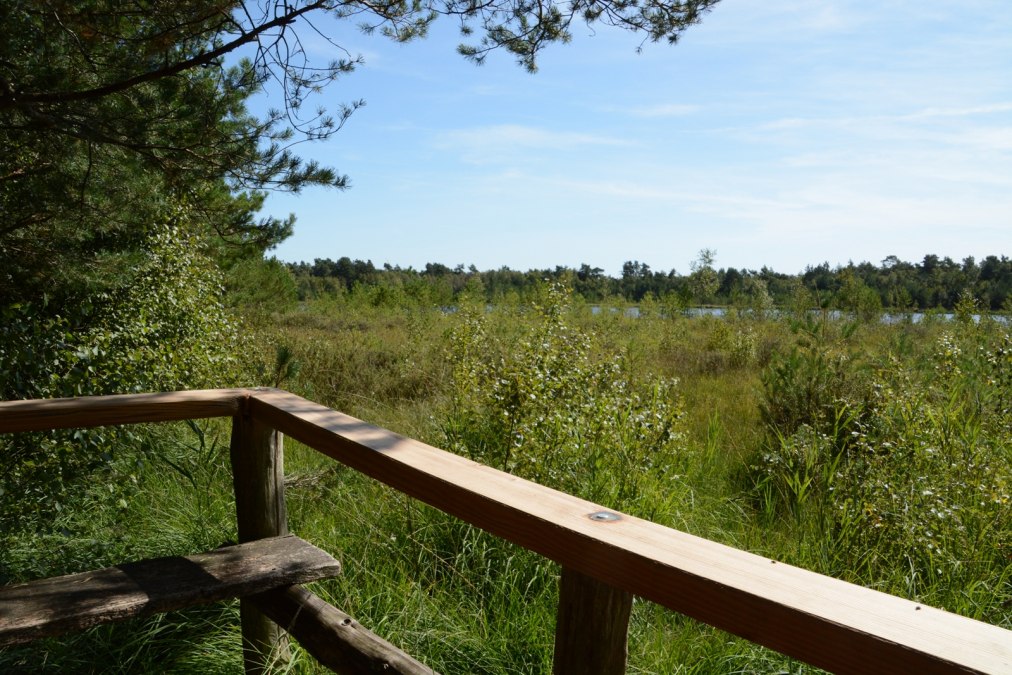 Aussichtspunkt Moorsee, &copy; Tourismusverband Mecklenburg-Schwerin