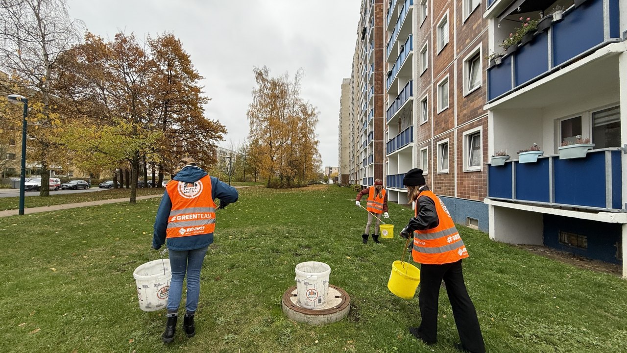 Helfer beim sammeln // &copy; Rostock M&uuml;llfrei e.V.