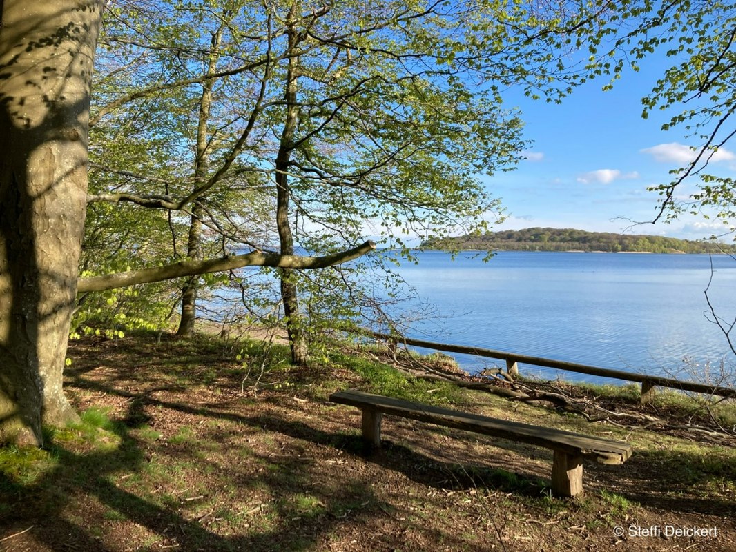 Foto Steffi Deickert Pfad der Mu&szlig;e 1 - Wanderfr&uuml;hling, &copy; Foto Steffi Deickert