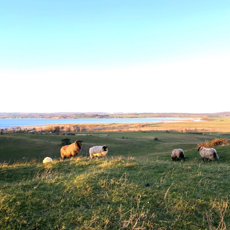 &copy; KV M&ouml;nchgut