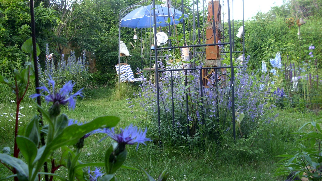 Der Garten im Juni 2019 // © Anette Schröder Der Garten im Juni 2019 // © Anette Schröder