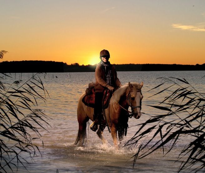 Mit dem Fennhof im äußersten nordosten Deutschlands das Abenteuer reiten hautnah und intensiv erleben // © Fennhof/ Hafermalz Mit dem Fennhof im äußersten nordosten Deutschlands das Abenteuer reiten hautnah und intensiv erleben // © Fennhof/ Hafermalz