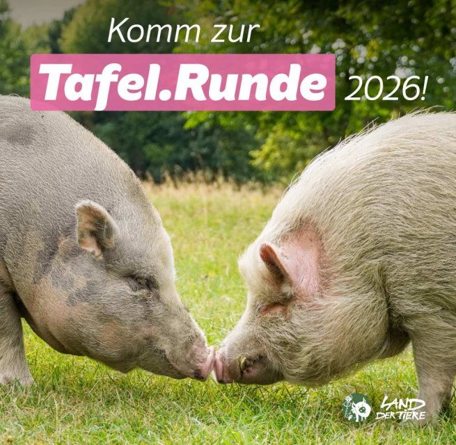 © Land der Tiere © Land der Tiere