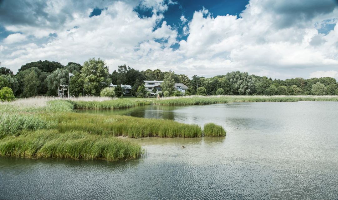 Restaurant Kormoran – moderne, regionale Küche, © Florian Melzer/im-jaich Restaurant Kormoran – moderne, regionale Küche, © Florian Melzer/im-jaich