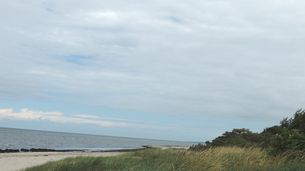 Blick Naturstrand // © Kurverwaltung Insel Poel Blick Naturstrand // © Kurverwaltung Insel Poel