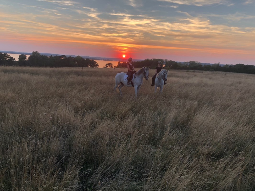 Omgeving // &copy; Bombis