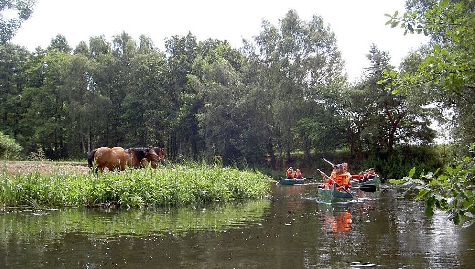 Naturidylle auf der Alten Elde // © Lewitzcamp Garwitz Naturidylle auf der Alten Elde // © Lewitzcamp Garwitz