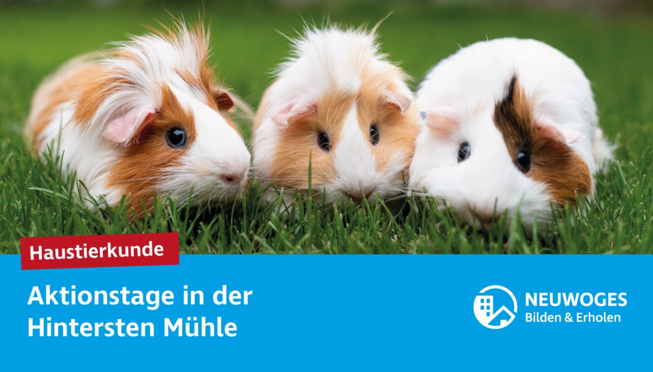 neuw-konzern_externe-komm_tierheim_aktionstage-24-haustierkunde_1, © Neuwoges neuw-konzern_externe-komm_tierheim_aktionstage-24-haustierkunde_1, © Neuwoges