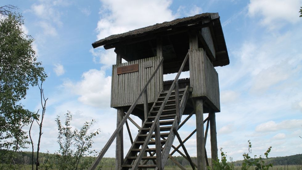 Aussichtsturm Großer Serrahnsee // © MV-T/Bodieschek Aussichtsturm Großer Serrahnsee // © MV-T/Bodieschek