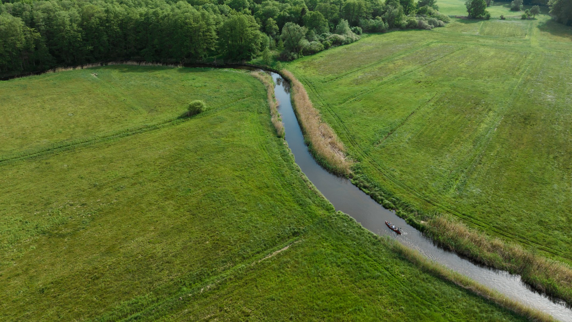 Die Warnow zwischen Wiesen und ein Kanu aus der Luft paddelt entlang dem Fluss