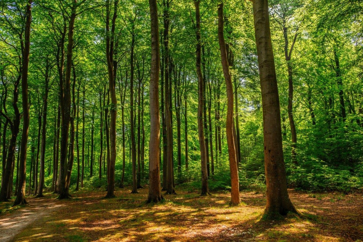 &copy; Binzer Bucht Tourismus