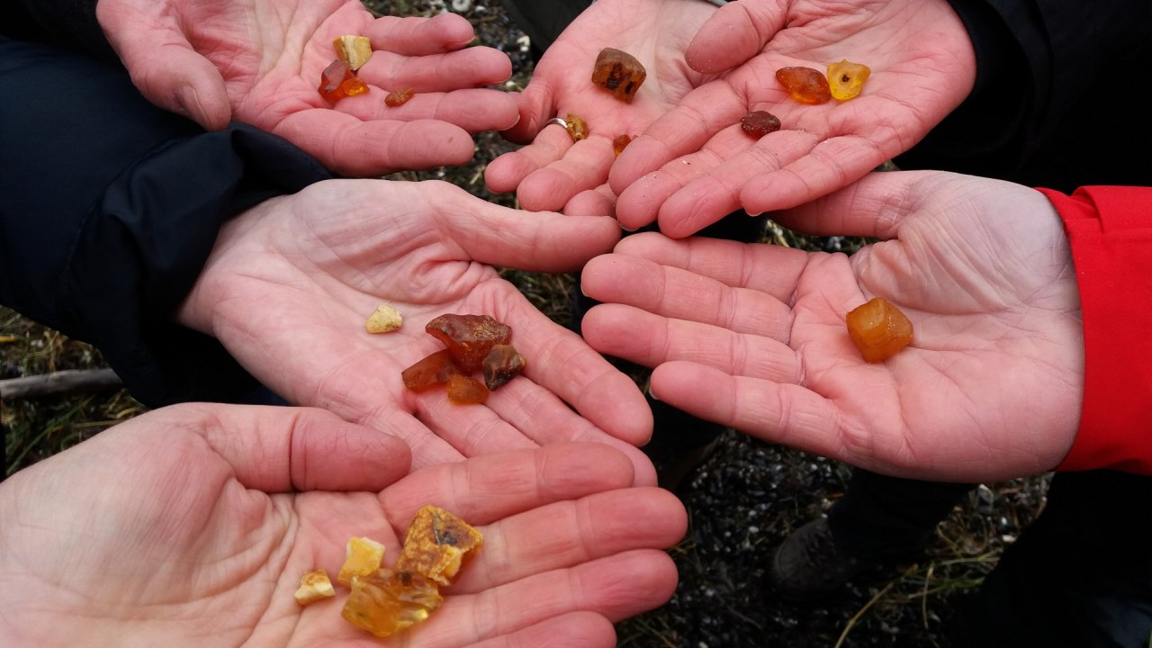Opbrengst van de ambermigratie // &copy; Martin Hagemann