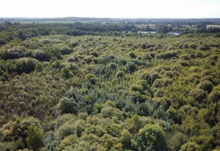 Klimawald Biosph&auml;renreservat Schaalsee // &copy; Landesforst MV