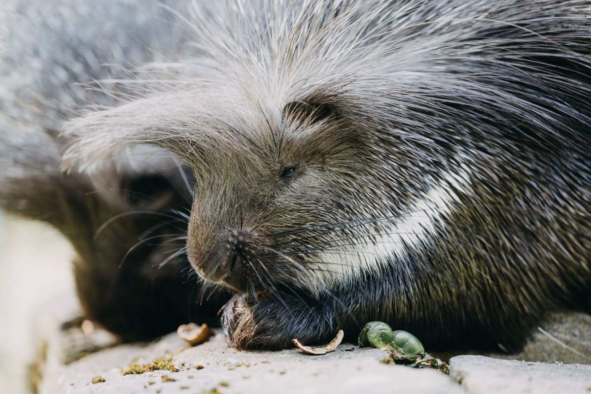 © Theresa Lange Fotografie © Theresa Lange Fotografie