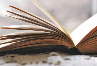 Symbolfoto // © Foto von Haley Parson auf Unsplash Symbolfoto // © Foto von Haley Parson auf Unsplash