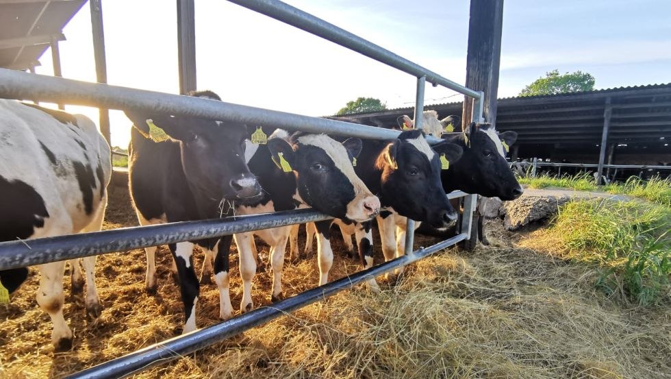 © Vossberg © Vossberg