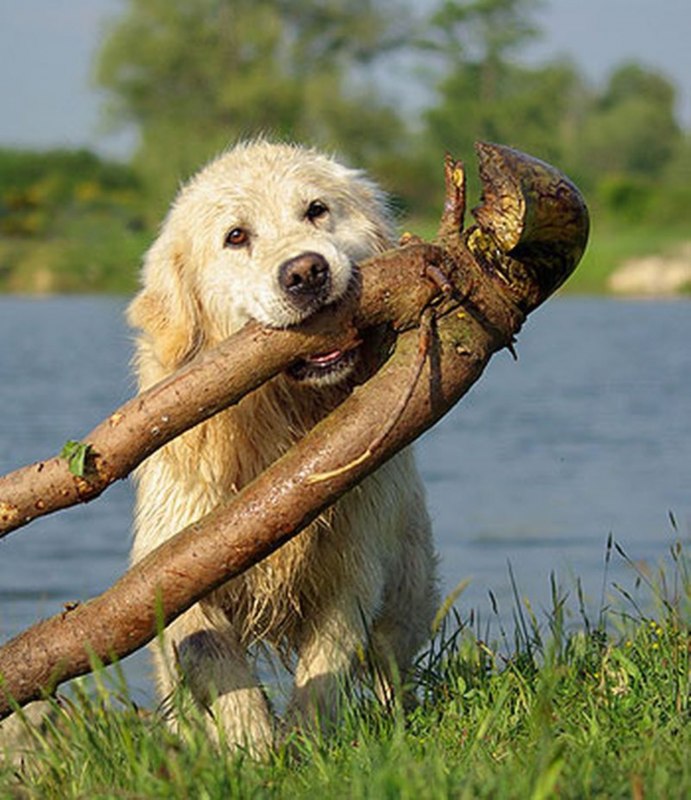 &copy; Foto: Labudda