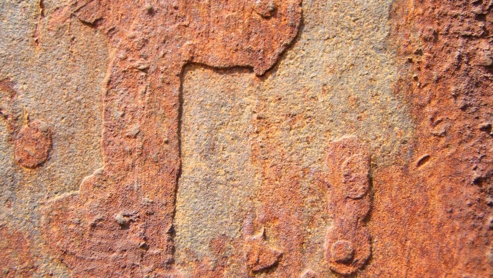 &copy; Martin Sausmikat