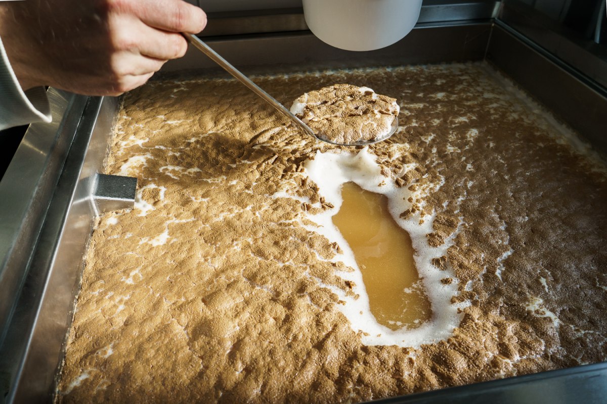 Bei der Vielfalt an hausgebrauten Bierspezialitäten ist für jeden Geschmack etwas dabei. // © Darßer BRAUHAUS Bei der Vielfalt an hausgebrauten Bierspezialitäten ist für jeden Geschmack etwas dabei. // © Darßer BRAUHAUS