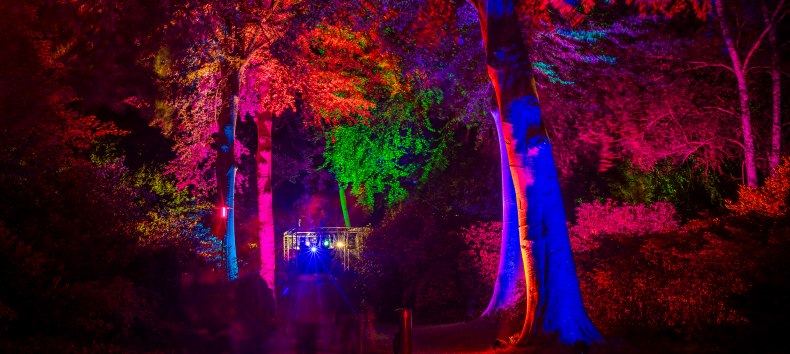 &raquo;Nachts im Park&laquo; &mdash; ein entspanntes Lichtkunst-Event // &copy; Andr&eacute; Pristaff / Tourismus- und Kur GmbH Graal-M&uuml;ritz
