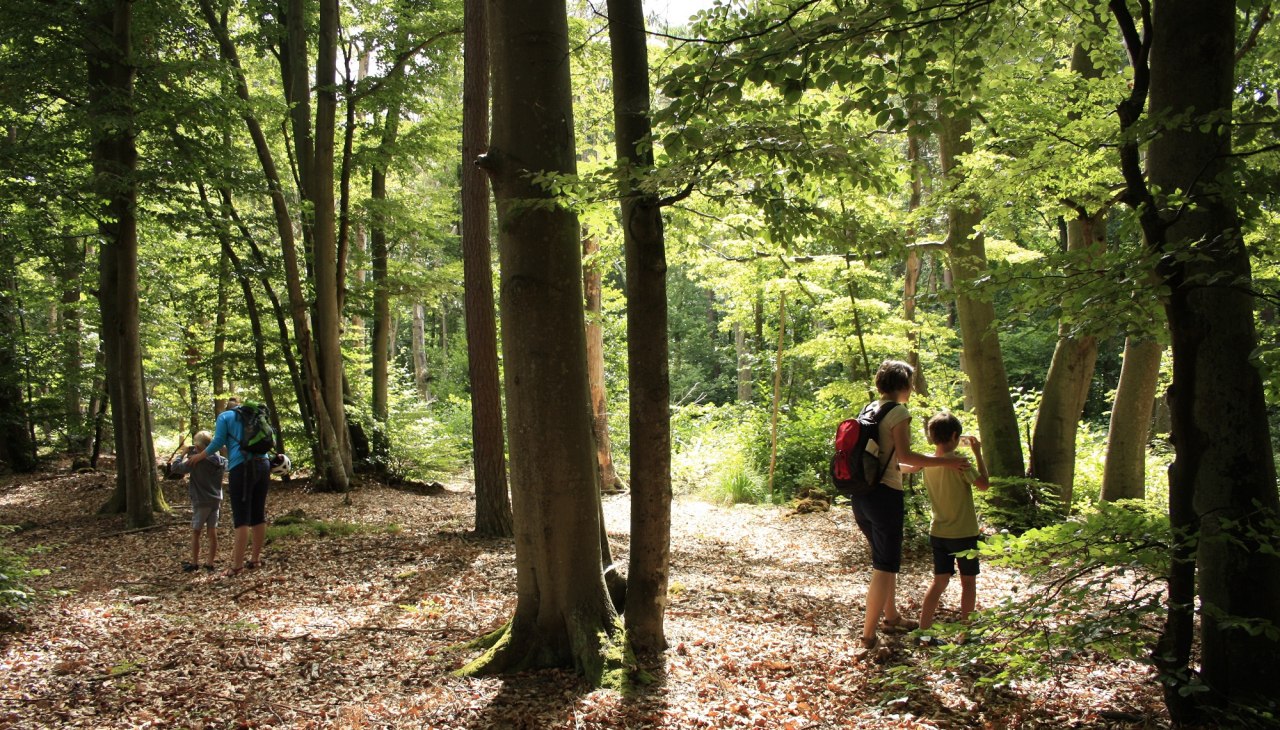 Natur_auf_der_Spur_2, © NPA Vorpommern Natur_auf_der_Spur_2, © NPA Vorpommern