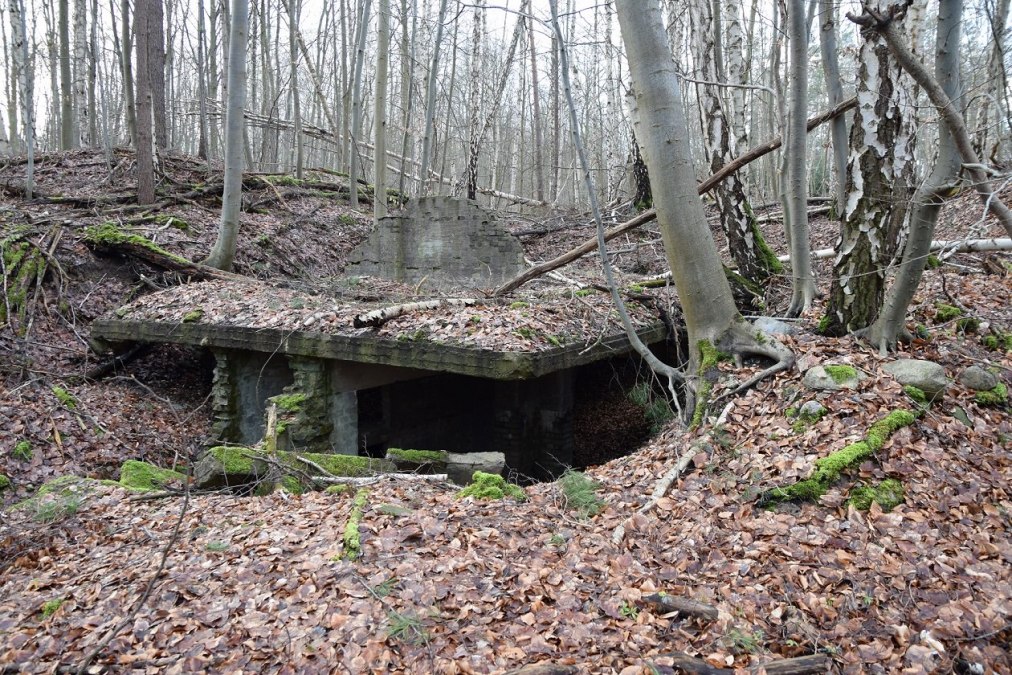 Bauliche Spuren des KZ-Außenlagers Neubrandenburg am Standort Waldbau, © Bianka Bülow Bauliche Spuren des KZ-Außenlagers Neubrandenburg am Standort Waldbau, © Bianka Bülow