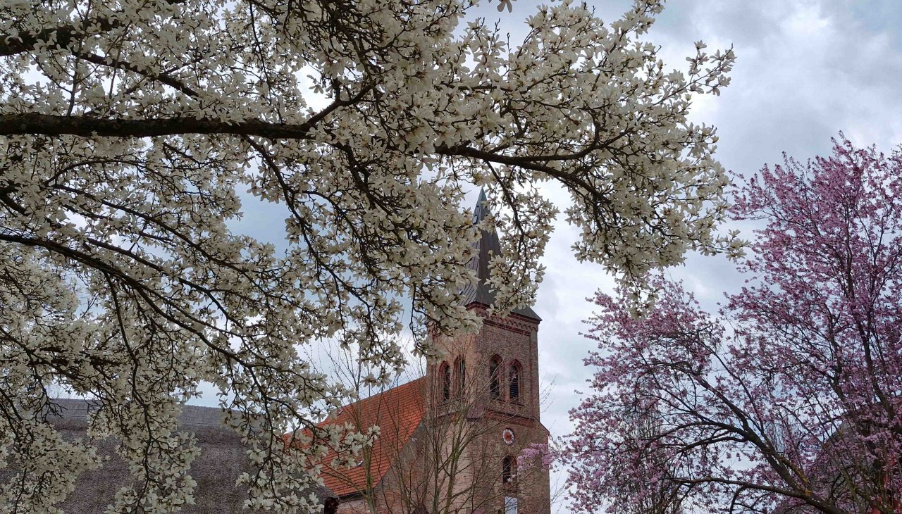 Pfarrhof Kessin, © Martin Goffing Pfarrhof Kessin, © Martin Goffing