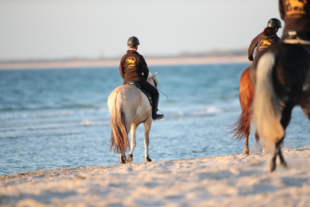 Reiten am Strand, © TMV/ACP Pantel Reiten am Strand, © TMV/ACP Pantel