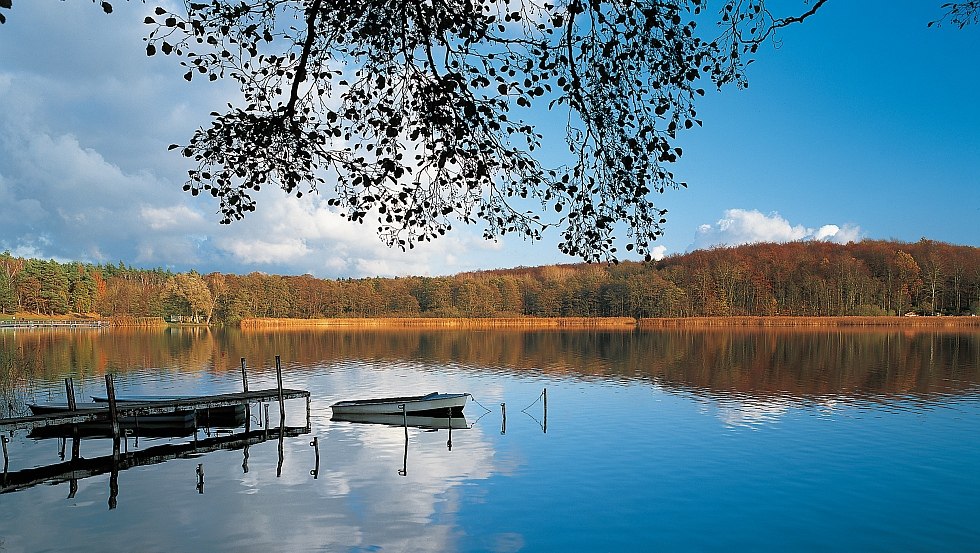 Malerisch spiegelt sich die Landschaft im Neuklostersee // &copy; MV-T/Grundner