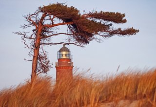 Den Dar&szlig;er Weststrand schm&uuml;ckt ein Leuchtturm, der Teil des NATUREUMs ist. // &copy; Anke Neumeister/Deutsches Meeresmuseum