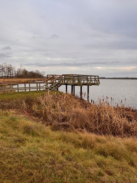 Aussichtsplattform Fleethof, © Staatliches Amt für Landwirtschaft und Umwelt Vorpommern Aussichtsplattform Fleethof, © Staatliches Amt für Landwirtschaft und Umwelt Vorpommern