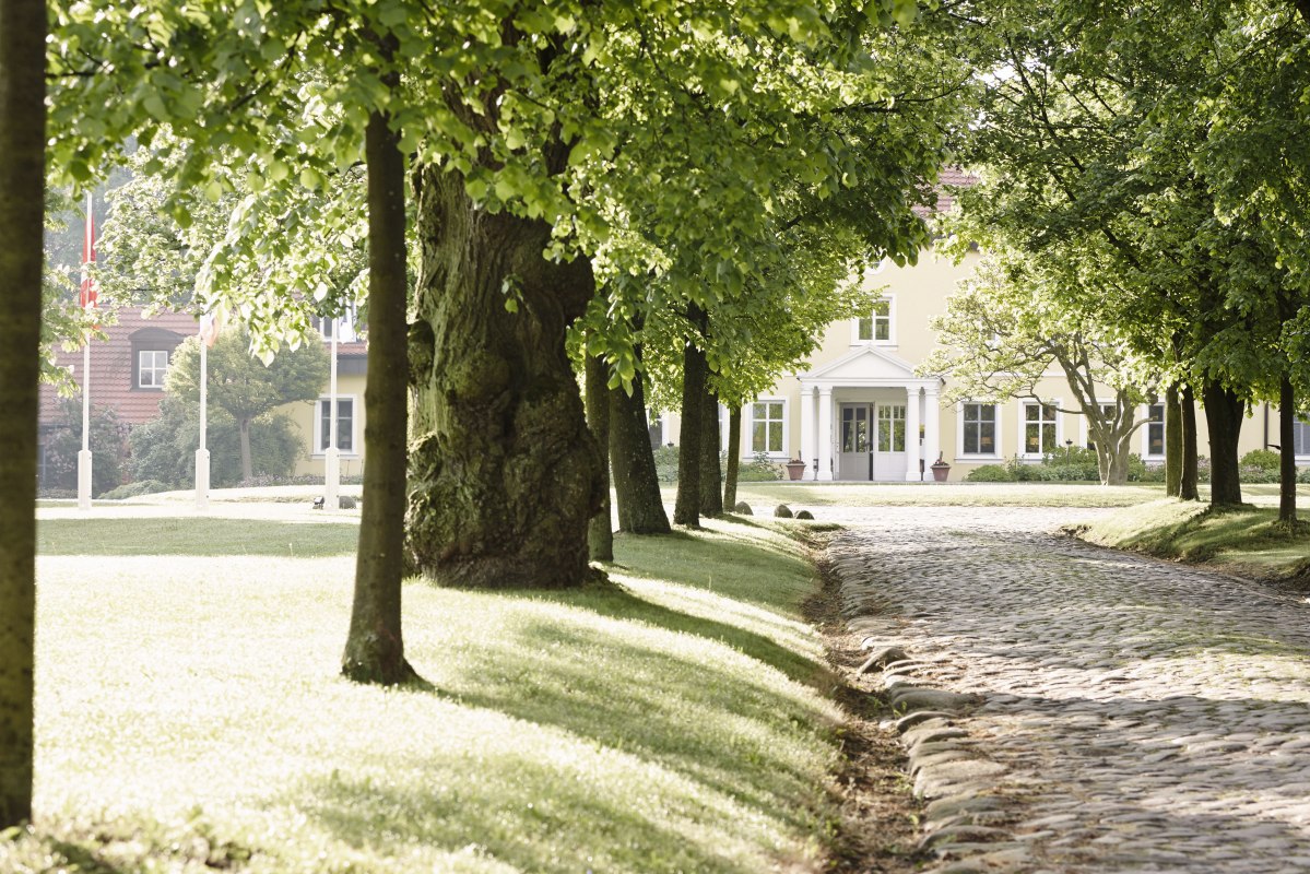 Willkommen - Auffahrt und Allee zum Gutshaus Stolpe // &copy; Gutshaus Stolpe