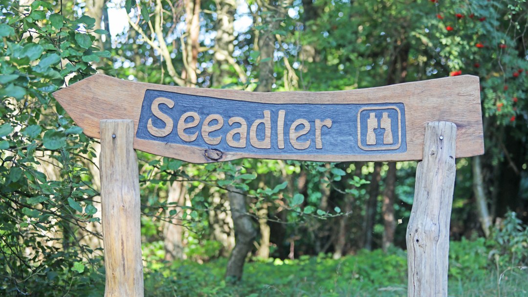Aussichtskanzel Seeadler_1, © TMV/Gohlke Aussichtskanzel Seeadler_1, © TMV/Gohlke