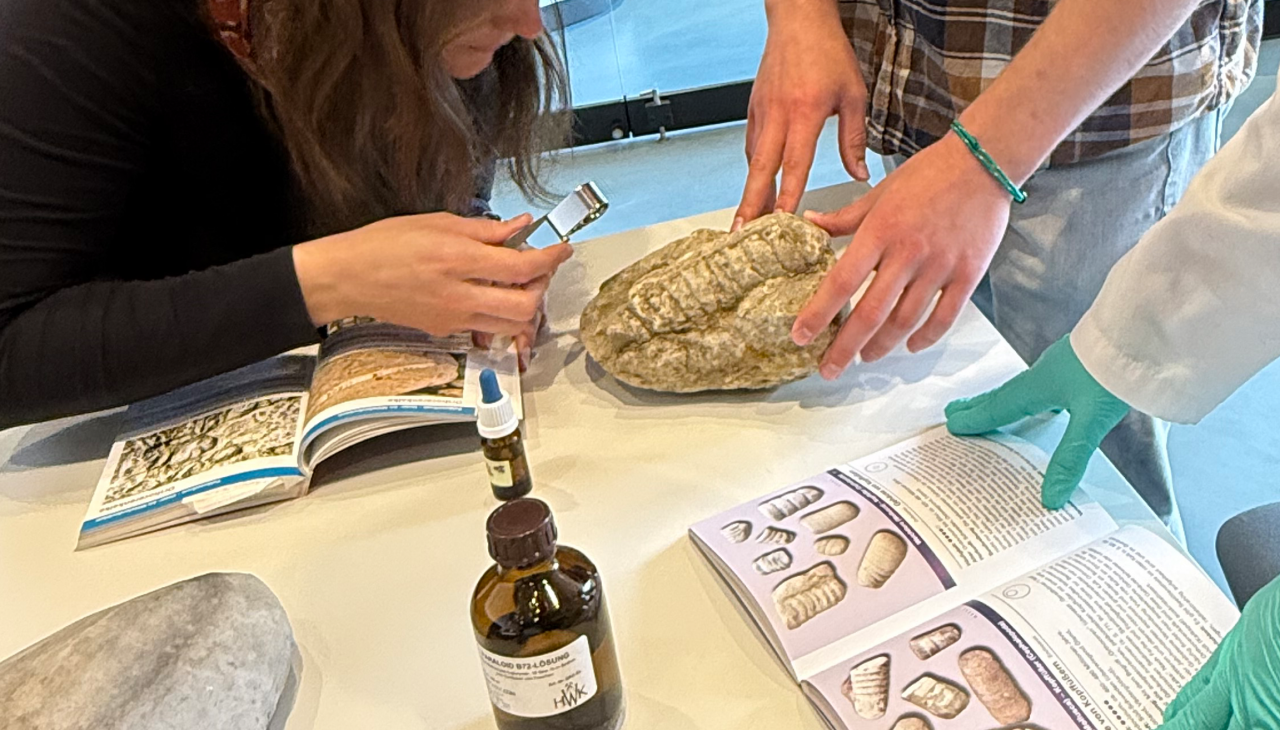 Wat voor soort steen is dit?, &copy; Claudia Siatkowski/M&uuml;ritzeum