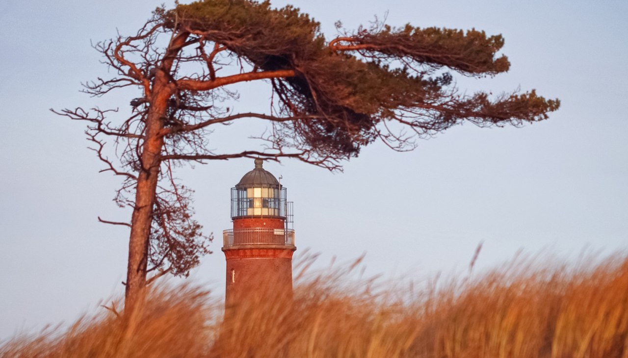 Den Darßer Weststrand schmückt ein Leuchtturm, der Teil des NATUREUMs ist., © Anke Neumeister/Deutsches Meeresmuseum Den Darßer Weststrand schmückt ein Leuchtturm, der Teil des NATUREUMs ist., © Anke Neumeister/Deutsches Meeresmuseum