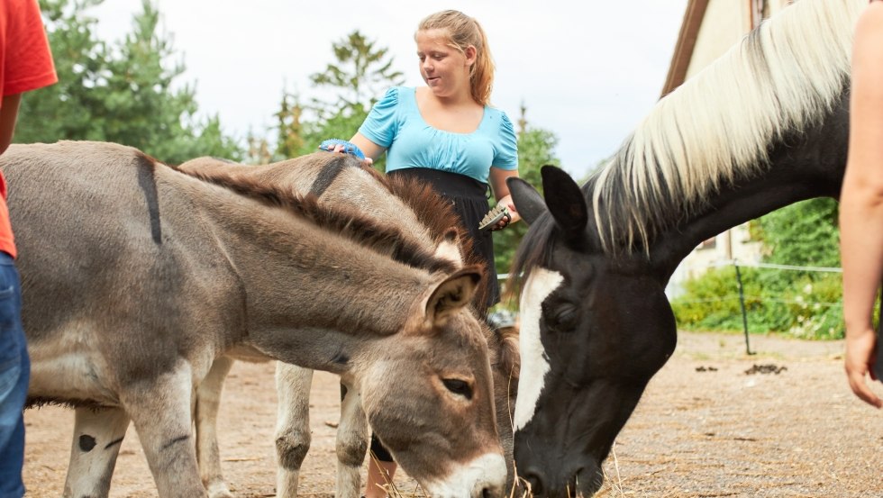 Versorgung und Pflege der Tiere auf dem Bauernhof, &copy; Jan Ehlers
