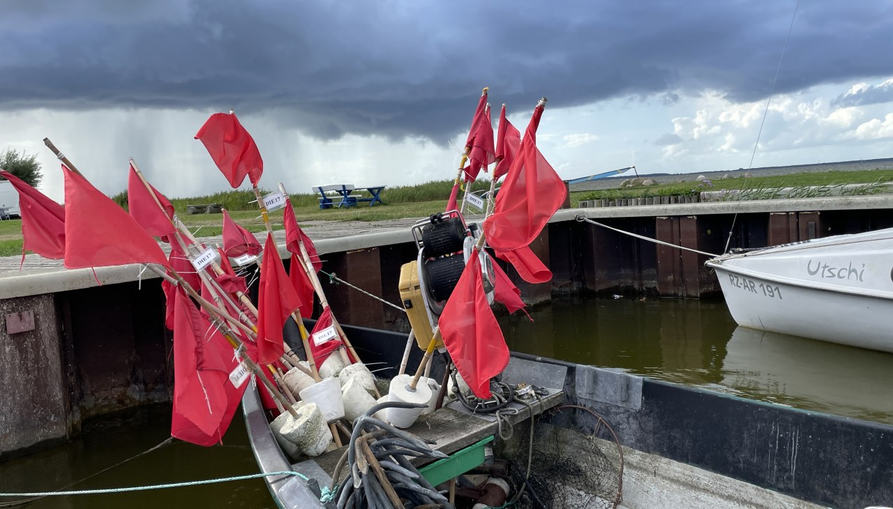 Donnerwetter am Hafen Neuendorf, © TZ Südliche Boddenküste Donnerwetter am Hafen Neuendorf, © TZ Südliche Boddenküste