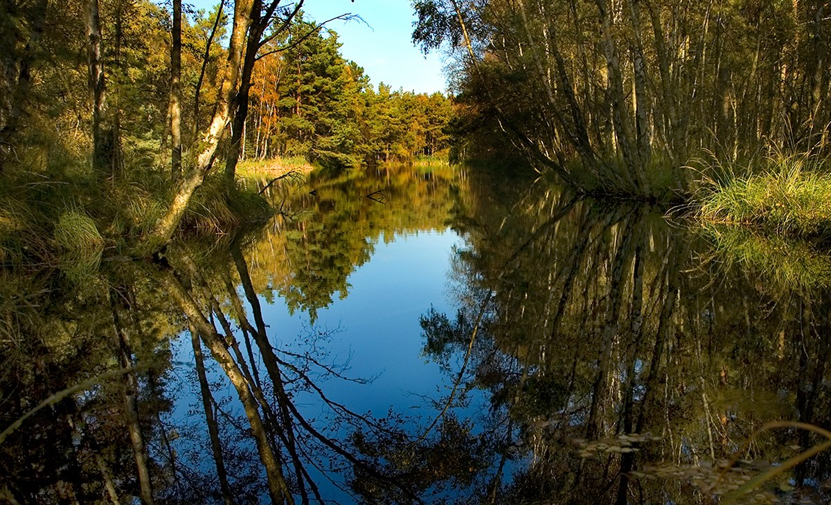 Moorsee, &copy; Stadt Ribnitz Damgarten