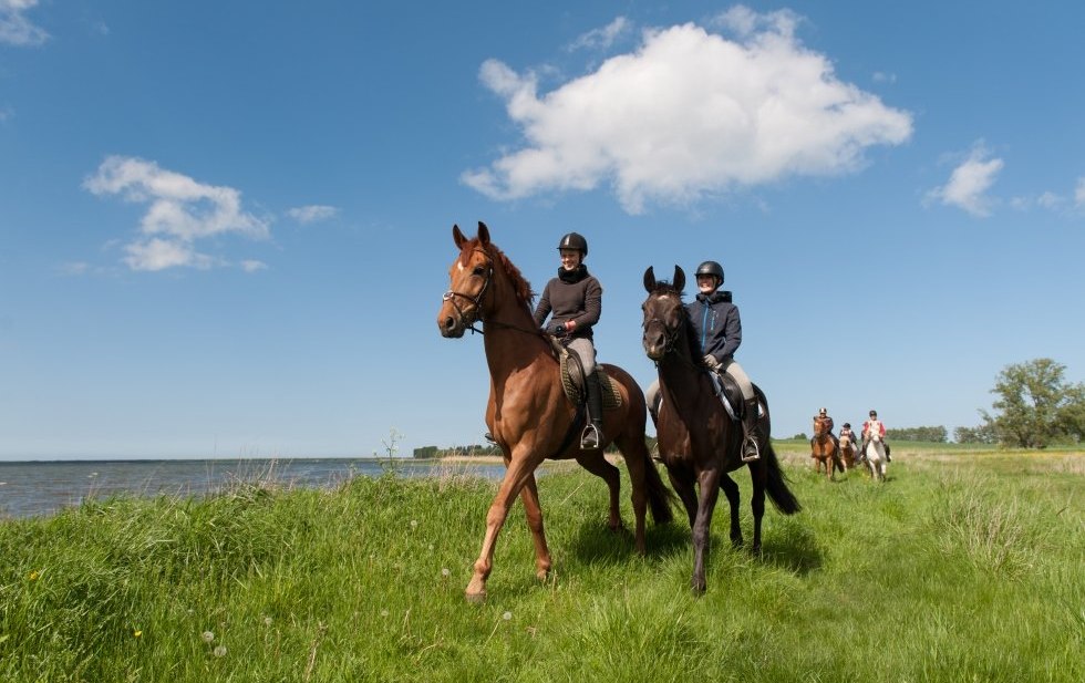 Zwischen Ostsee und Mecklenburgische Seenplatte durch das Land reiten // © MV-T/Frank Hafemann Zwischen Ostsee und Mecklenburgische Seenplatte durch das Land reiten // © MV-T/Frank Hafemann
