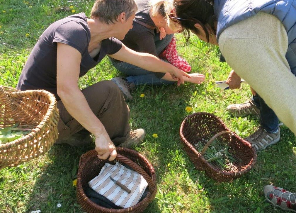 Kraeuterwanderung-1, &copy; Gemeinde Ostseebad Glowe