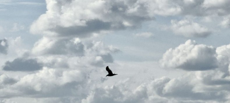 &copy; Katrin Sander