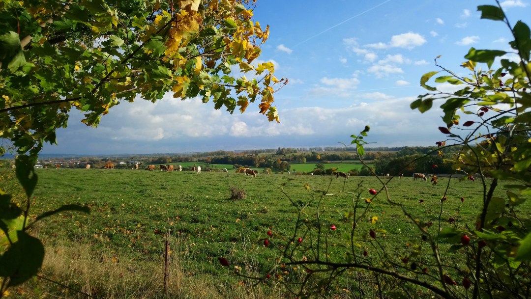 Ausblick vom Wanderweg zum Hohen Holz, &copy; Jana Koch