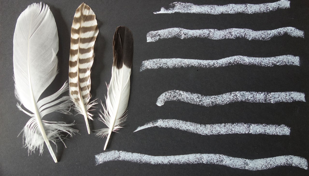 Federn_kvs, © Kristine von Soden Federn_kvs, © Kristine von Soden