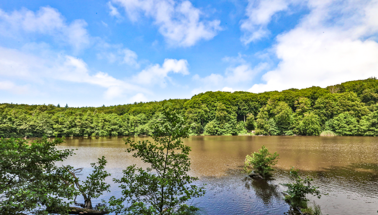 herthasee_1, © TMV/Gohlke herthasee_1, © TMV/Gohlke