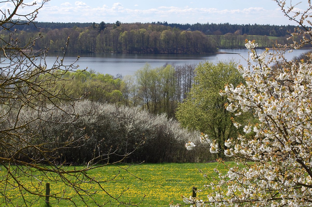 &copy; S.Hoffmeister