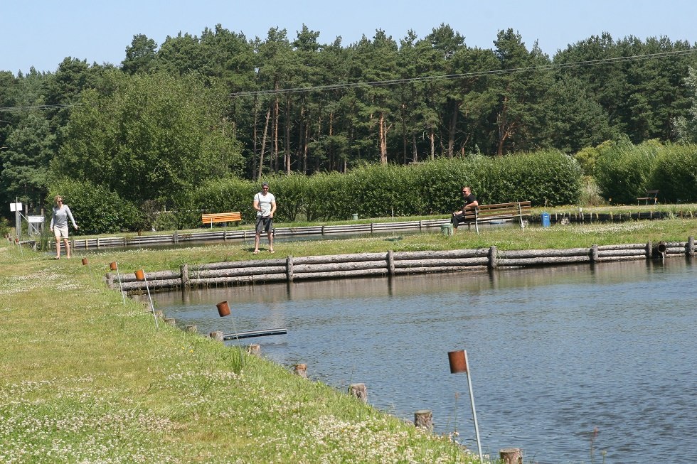 Blick über die Teichanlage // © Sabrina Wittkopf-Schade Blick über die Teichanlage // © Sabrina Wittkopf-Schade
